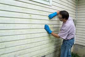 Best Aluminum Siding Installation  in Grass Lake, MI